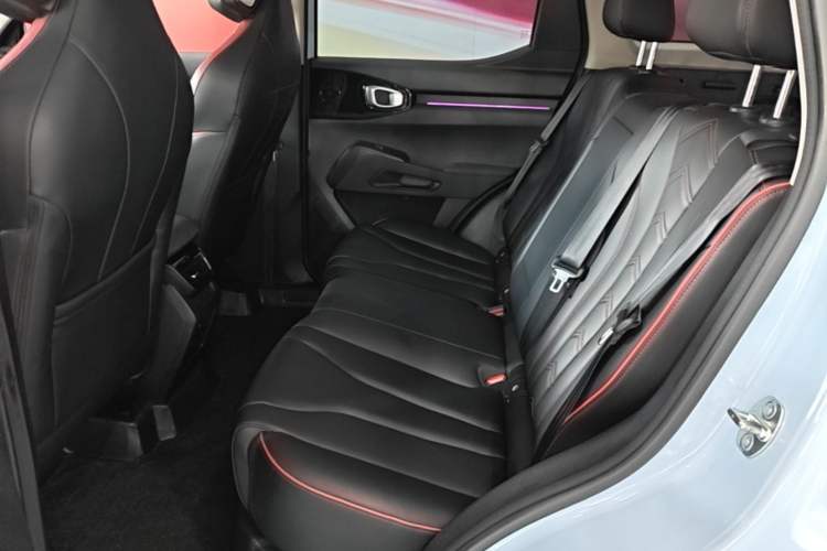 Used Haval X DOG 2022 1.5T DCT Two-Wheel Drive Trendy Edition Left Rear Seat