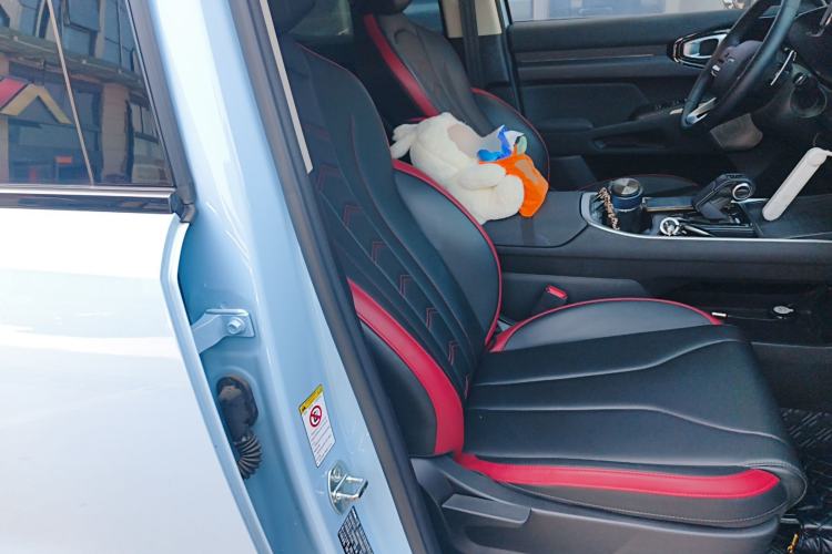 Used Haval X DOG 2022 1.5T DCT Two-Wheel Drive Trendy Edition Right Front Seat
