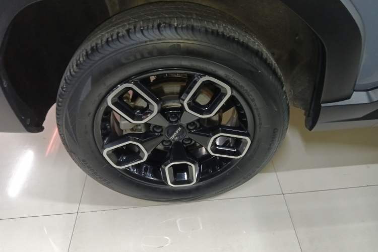 Used Haval X DOG 2022 1.5T DCT Two-Wheel Drive Trendy Edition Exterior 8