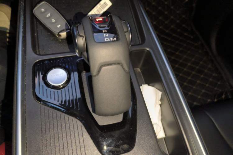 Used Haval X DOG 2022 1.5T DCT Two-Wheel Drive Trendy Edition Gear Lever