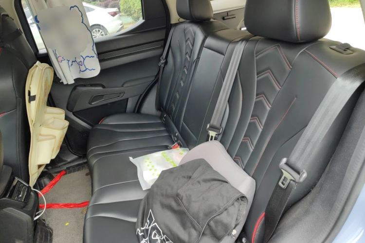 Used Haval X DOG 2022 1.5T DCT Two-Wheel Drive Trendy Edition Left Rear Seat
