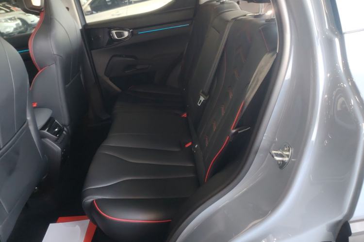 Used Haval X DOG 2022 1.5T DCT Two-Wheel Drive Trendy Edition Left Rear Seat