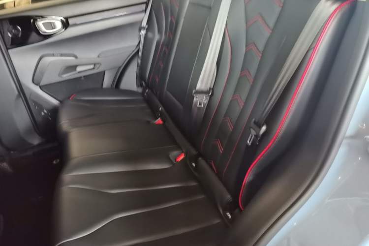 Used Haval X DOG 2022 1.5T DCT Two-Wheel Drive Trendy Edition Left Rear Seat