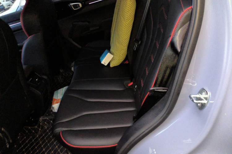 Used Haval X DOG 2022 1.5T DCT Two-Wheel Drive Trendy Edition Left Rear Seat
