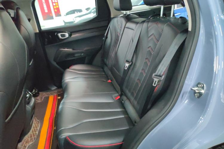 Used Haval X DOG 2022 1.5T DCT Two-Wheel Drive Trendy Edition Left Rear Seat