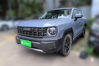 Used Haval X DOG 2022 1.5T DCT Two-Wheel Drive Trendy Edition