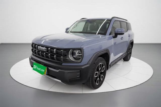 Haval X DOG 2022 1.5T DCT Two-Wheel Drive Trendy Edition d’occasion