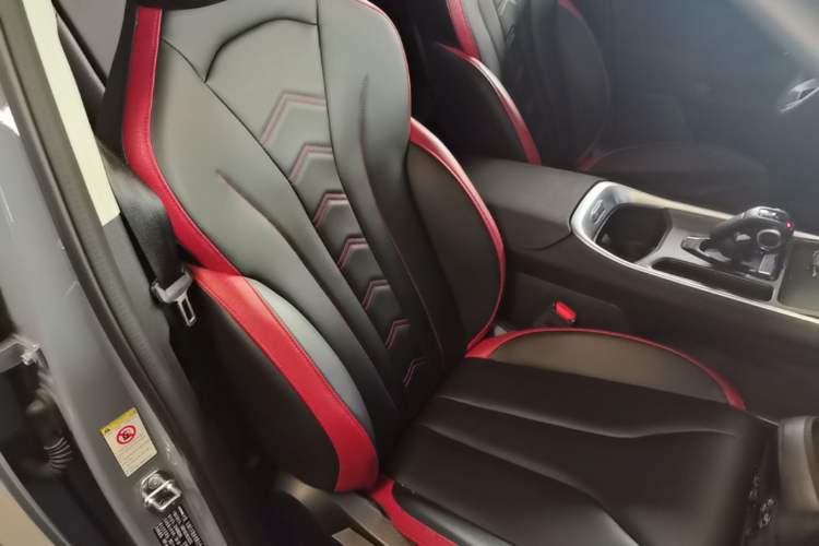 Used Haval X DOG 2022 1.5T DCT Two-Wheel Drive Trendy Edition Right Front Seat