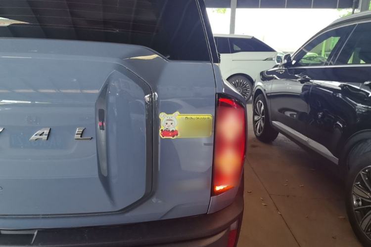 Used Haval X DOG 2022 1.5T DCT Two-Wheel Drive Trendy Edition Right Rear Taillight