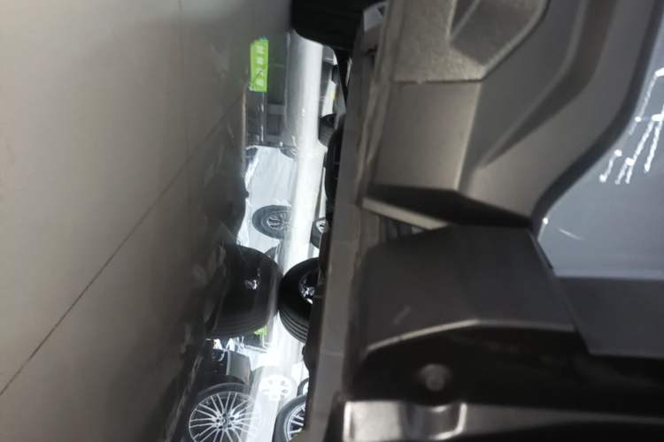 Used Haval X DOG 2022 1.5T DCT Four-Wheel Drive Trendy Wild Edition Right Side Sill