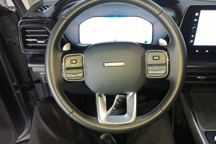 Used Haval X DOG 2022 1.5T DCT Two-Wheel Drive Trendy Edition Steering Wheel