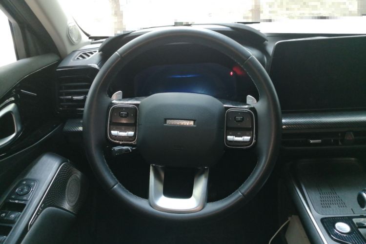 Used Haval X DOG 2022 1.5T DCT Two-Wheel Drive Trendy Sound Edition Steering Wheel