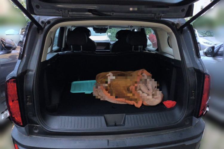 Used Haval X DOG 2022 1.5T DCT Two-Wheel Drive Trendy Edition Trunk