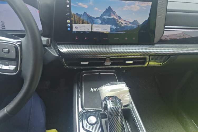 Used Haval X DOG 2022 1.5T DCT Four-Wheel Drive Trendy Wild Edition Audio And AC Panel
