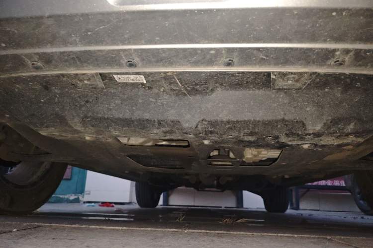 Used Haval X DOG 2022 1.5T DCT Two-Wheel Drive Trendy Edition Chassis Front
