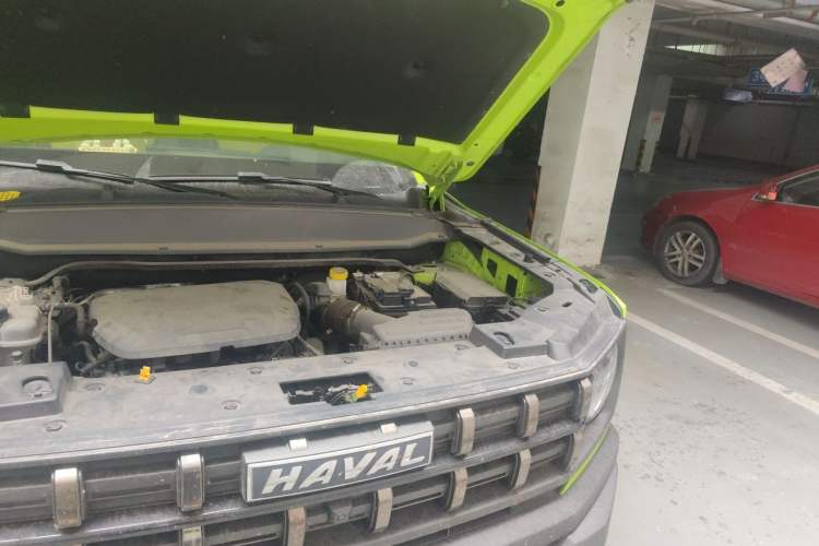 Used Haval X DOG 2022 1.5T DCT Two-Wheel Drive Trendy Edition Engine Bay Left