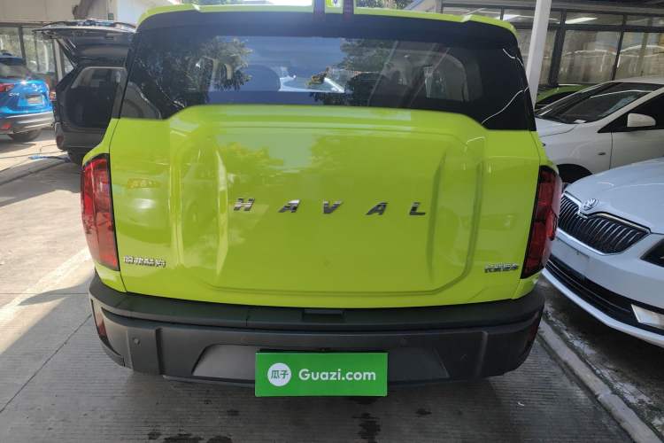 Used Haval X DOG 2022 1.5T DCT Four-Wheel Drive Trendy Wild Edition Exterior 4