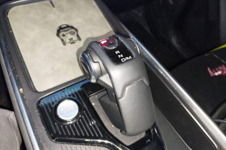 Used Haval X DOG 2022 1.5T DCT Two-Wheel Drive Trendy Edition Gear Lever