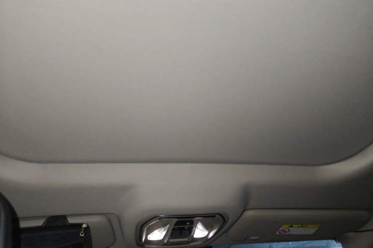 Used Haval X DOG 2022 1.5T DCT Four-Wheel Drive Trendy Wild Edition Headliner