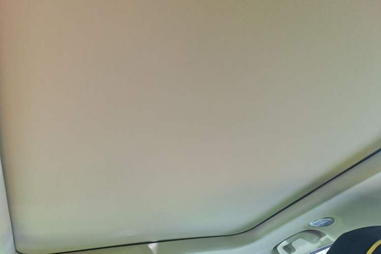 Used Haval X DOG 2022 1.5T DCT Four-Wheel Drive Trendy Wild Edition Headliner
