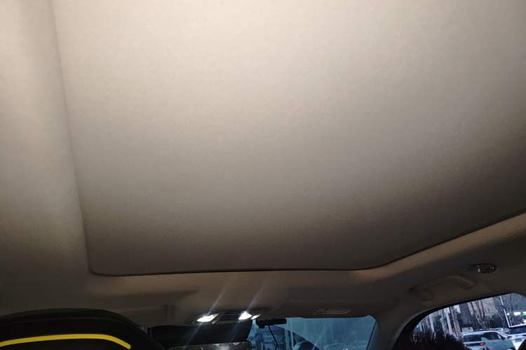 Used Haval X DOG 2022 1.5T DCT Two-Wheel Drive Trendy Edition Headliner