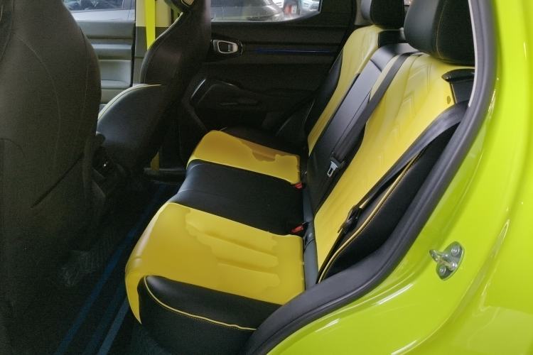 Used Haval X DOG 2022 1.5T DCT Two-Wheel Drive Trendy Edition Left Rear Seat