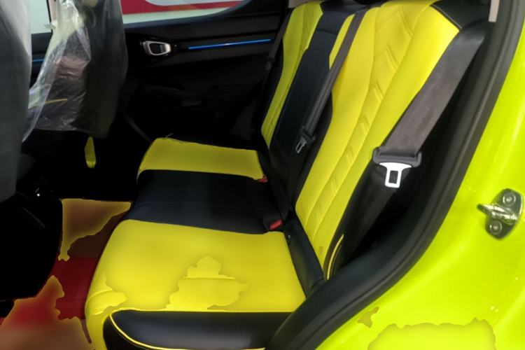 Used Haval X DOG 2022 1.5T DCT Four-Wheel Drive Trendy Wild Edition Left Rear Seat