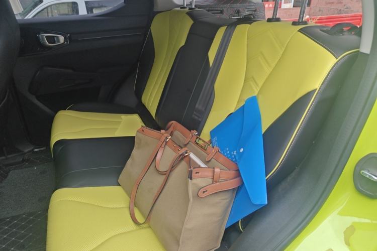 Used Haval X DOG 2022 1.5T DCT Four-Wheel Drive Trendy Wild Edition Left Rear Seat