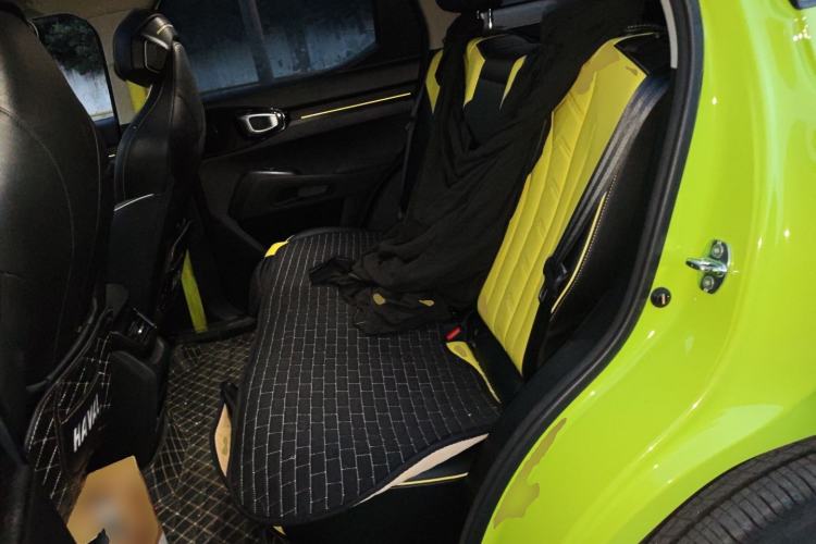 Used Haval X DOG 2022 1.5T DCT Two-Wheel Drive Trendy Edition Left Rear Seat