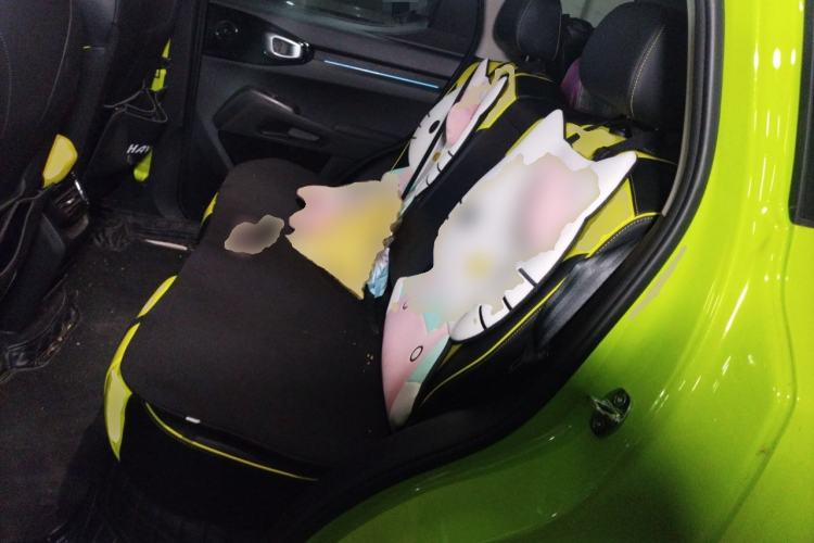 Used Haval X DOG 2022 1.5T DCT Two-Wheel Drive Trendy Edition Left Rear Seat