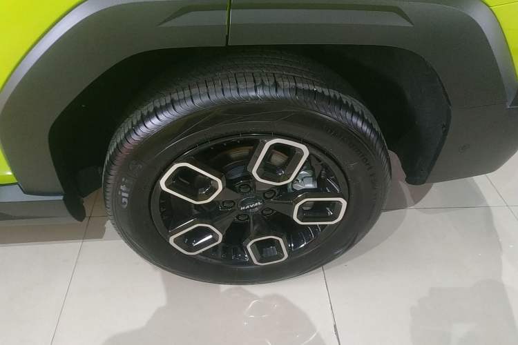 Used Haval X DOG 2022 1.5T DCT Four-Wheel Drive Trendy Wild Edition Left Rear Wheel Hub