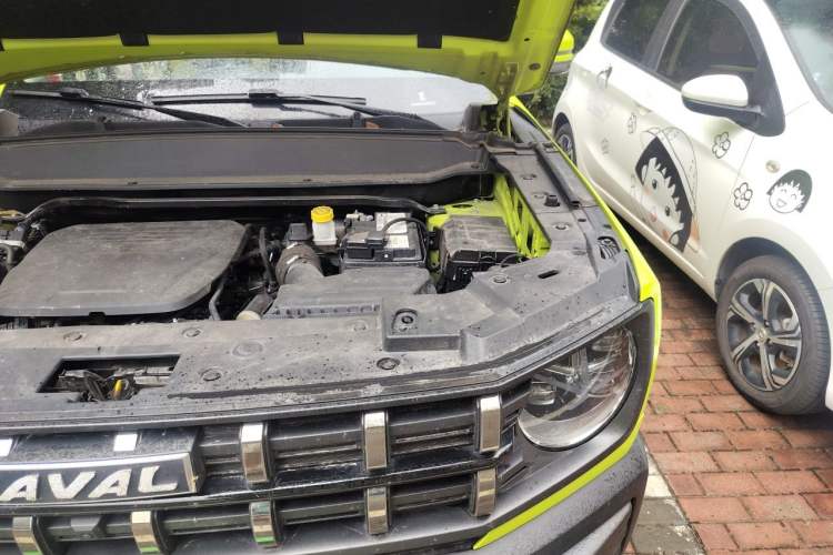 Used Haval X DOG 2022 1.5T DCT Two-Wheel Drive Trendy Edition Engine Bay Left