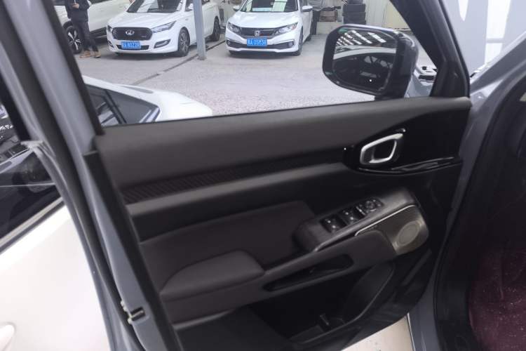 Used Haval X DOG 2022 1.5T DCT Two-Wheel Drive Trendy Sound Edition Left Front Door Interior
