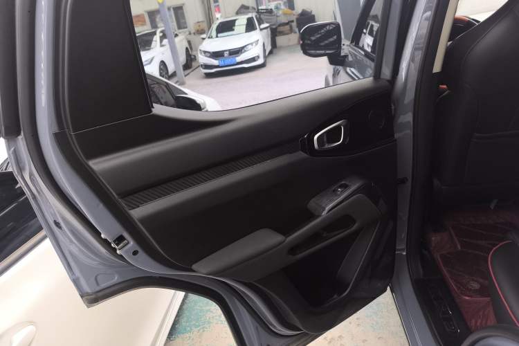 Used Haval X DOG 2022 1.5T DCT Two-Wheel Drive Trendy Sound Edition Left Rear Door Interior