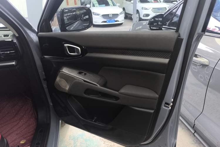 Used Haval X DOG 2022 1.5T DCT Two-Wheel Drive Trendy Sound Edition Right Front Door Interior