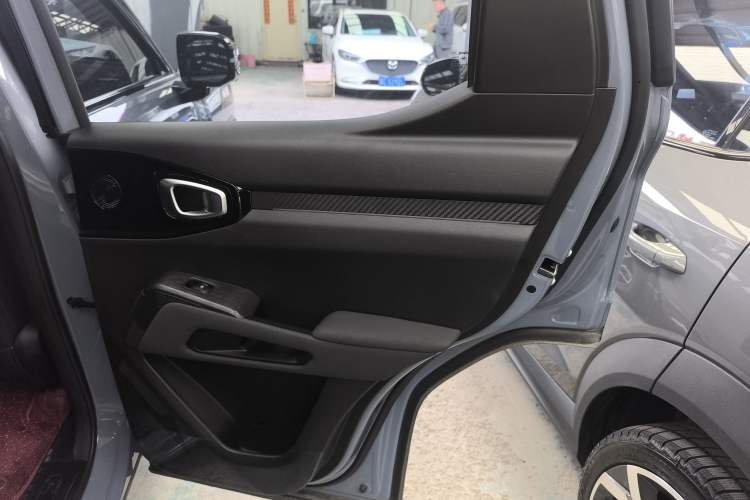 Used Haval X DOG 2022 1.5T DCT Two-Wheel Drive Trendy Sound Edition Right Rear Door Interior