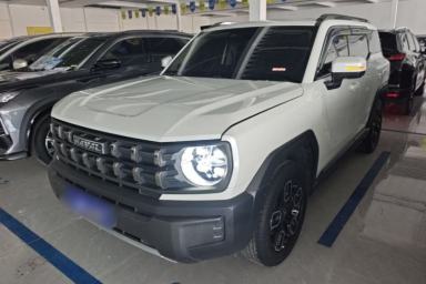 Used Haval X DOG 2022 1.5T DCT Two-Wheel Drive Trendy Edition