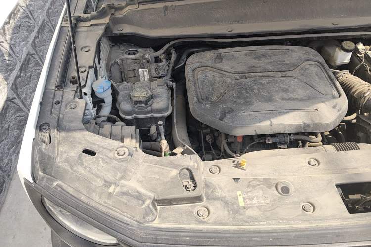 Used Haval X DOG 2022 1.5T DCT Two-Wheel Drive Trendy & Cool Edition Engine Bay Right