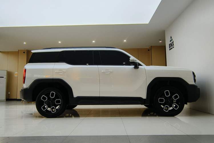Used Haval X DOG 2022 1.5T DCT Two-Wheel Drive Trendy Edition Exterior 1