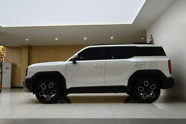 Used Haval X DOG 2022 1.5T DCT Two-Wheel Drive Trendy Edition Exterior 2