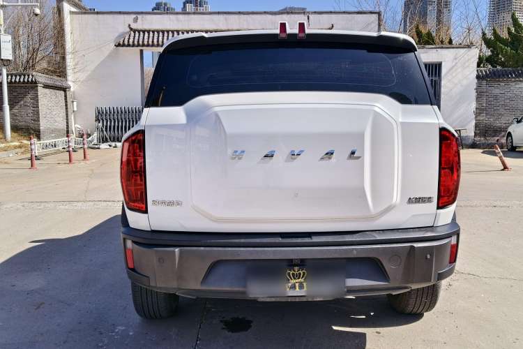 Used Haval X DOG 2022 1.5T DCT Two-Wheel Drive Trendy Edition Exterior 4