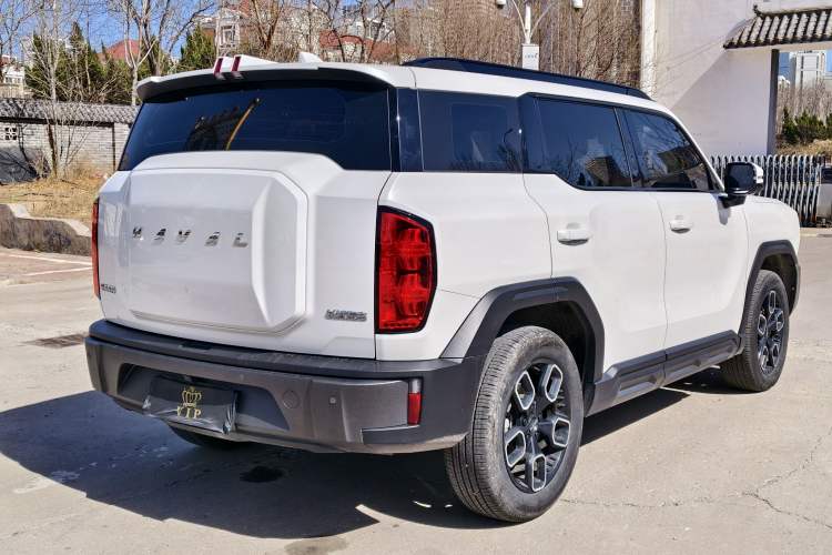 Used Haval X DOG 2022 1.5T DCT Two-Wheel Drive Trendy Edition Exterior 5