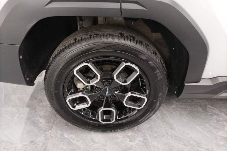Used Haval X DOG 2022 1.5T DCT Two-Wheel Drive Trendy Edition Exterior 5