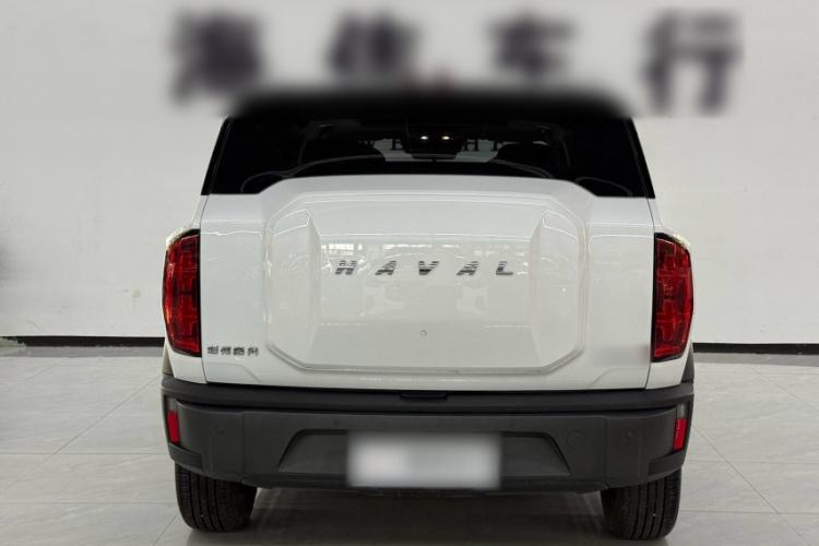 Used Haval X DOG 2022 1.5T DCT Two-Wheel Drive Trendy Sound Edition Exterior 6