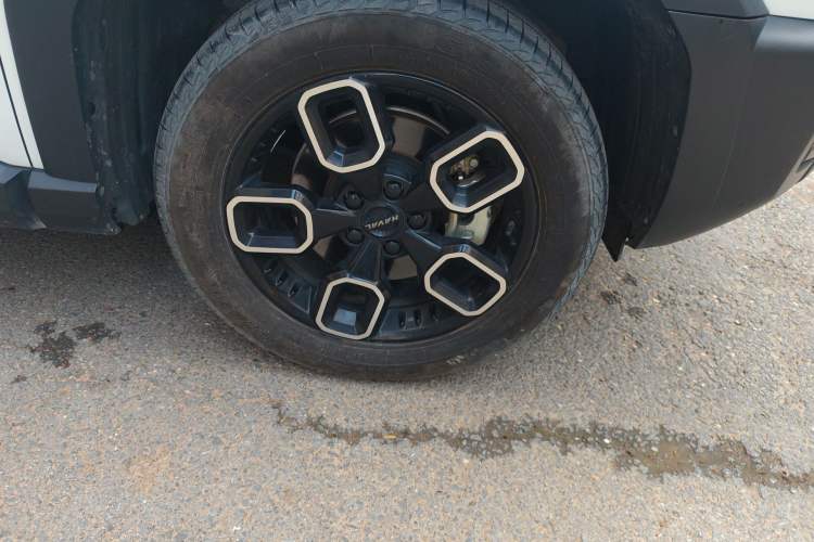 Used Haval X DOG 2022 1.5T DCT Four-Wheel Drive Trendy Wild Edition Exterior 7