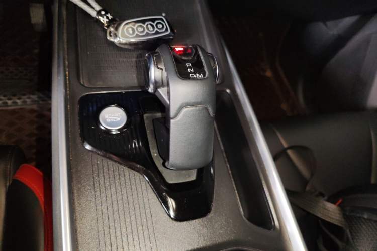 Used Haval X DOG 2022 1.5T DCT Two-Wheel Drive Trendy Edition Gear Lever