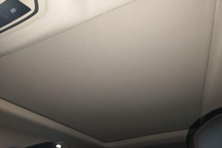 Used Haval X DOG 2022 1.5T DCT Two-Wheel Drive Trendy Edition Headliner