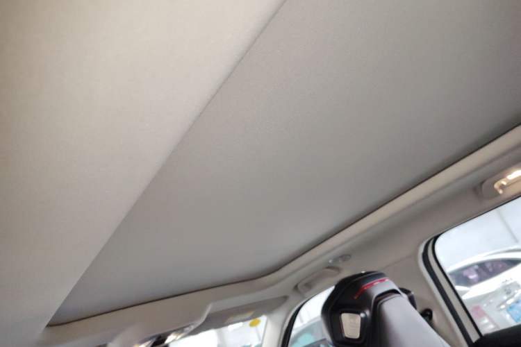 Used Haval X DOG 2022 1.5T DCT Two-Wheel Drive Trendy Edition Headliner