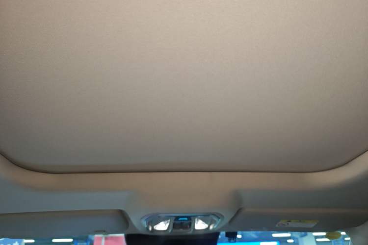Used Haval X DOG 2022 1.5T DCT Two-Wheel Drive Trendy Edition Headliner