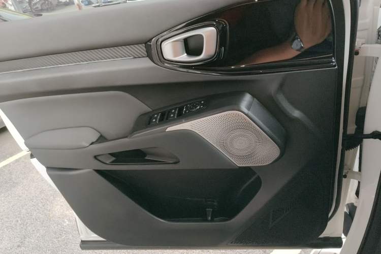 Used Haval X DOG 2022 1.5T DCT Two-Wheel Drive Trendy Edition Left Front Door Interior